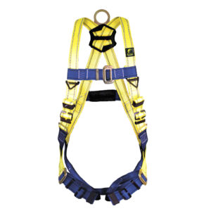 ARNÉS DE CUERPO COMPLETO CON ANILLO “D”